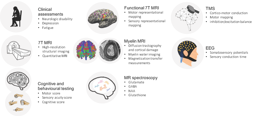 Overview of the experimental protocol and methodology used in the project.