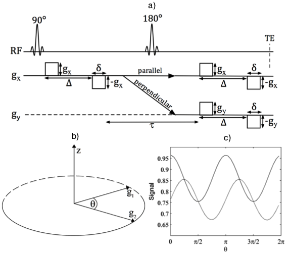 Figure 1 (Jespersen et. al. 2013). The d-PFG experiment used in this study was realized in a single spin-echo sequence with two individual bipolar diffusion encodings on each side of the refocusing pulse (a). The two bipolar gradient pairs on each side of the 180° pulse have identical timing parameters Δ and δ as well as strength g. g1 and g2 are applied in either parallel or orthogonal directions according to the d-PFG 5-design (see Jespersen et. al. 2013 figure 2 for further details), but here they are shown only along x and y directions for concreteness. The sampling of the diffusion gradients in angular d-PFG is shown in (b). The corresponding angular modulation of the signal depends on the absolute directions of the gradients in anisotropic systems (c), but not in isotropic systems. The curves in (c) were produced using simulations of particles in an anisotropic medium consisting of spheroids (short semi-axis 1 μm, long semi-axis 4 μm) oriented according to a Watson distribution with concentration parameter 10 and main direction along the z-axis. The wave vectors are varied in the yz-plane, and for the solid line the parallel direction is along the x-axis, whereas for the dashed line the parallel direction is 45 degrees from the z-axis. © 2013 John Wiley & Sons, Ltd
