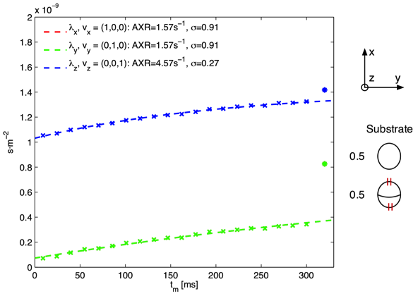Figure A Monte Carlo simulation in a substrate consisting of impermeable axons parallel to the z-axis and permeable spheres. The eigenvalues D of D’ are shown as asterisks and crosses respectively. Note that the λ_x(red) and λ_y(green) data points are identical leaving only the λ_y data points visible.