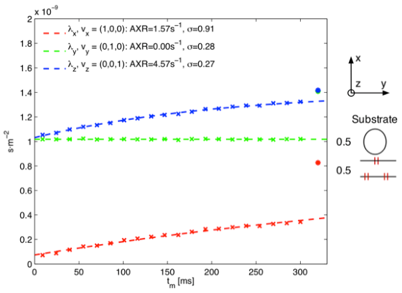 Figure B Monte Carlo simulation in a substrate consisting of impermeable axons parallel to the z-axis and permeable axons parallel to the y-axis. The eigenvalues of D and D’ are shown as asterisks and crosses respectively.