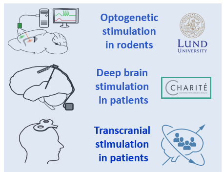 Each site focuses on a different stimulation technique